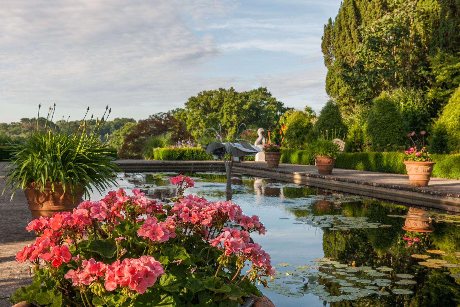 Pond at Borde Hill Garden